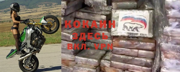 дживик Аркадак