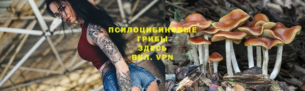 дживик Аркадак