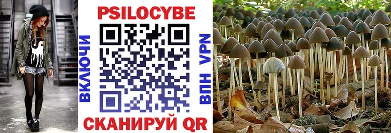 Псилоцибиновые грибы GOLDEN TEACHER  блэк спрут ONION  Вяземский 